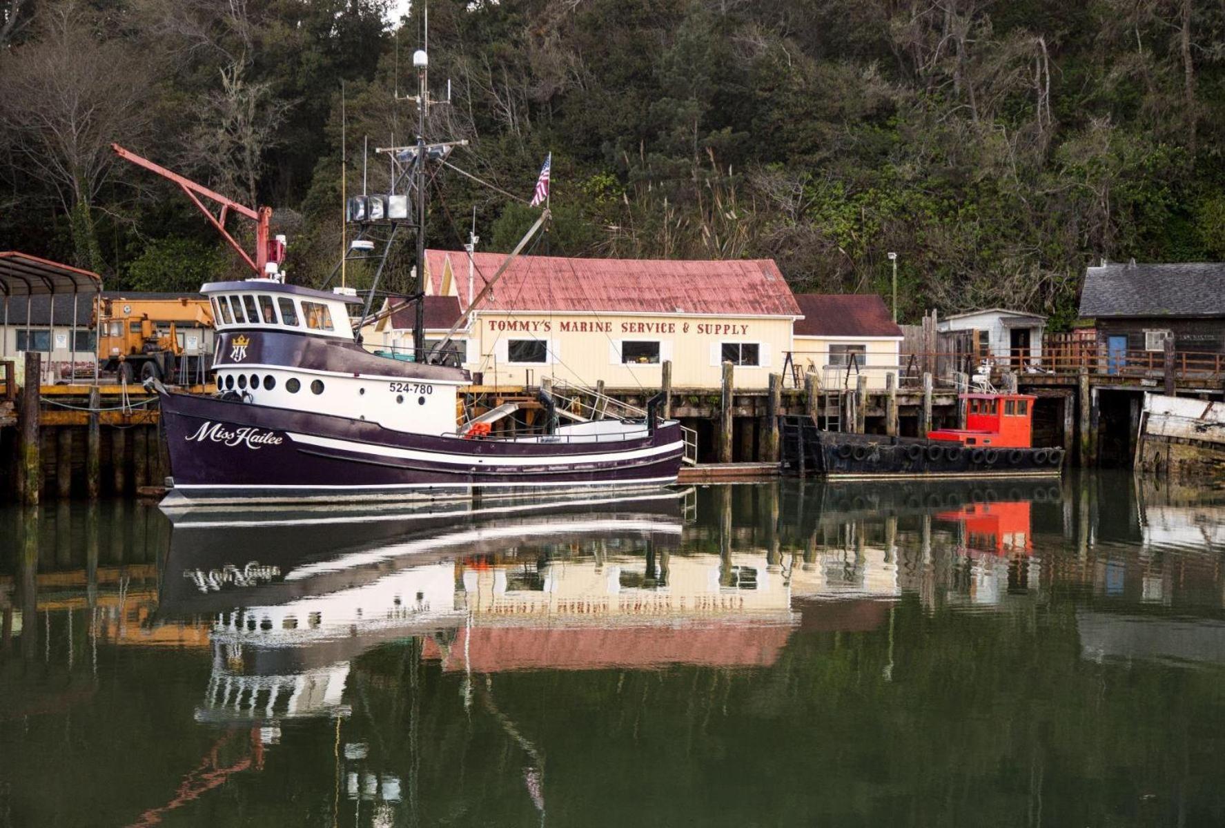 Driftwood Villa Fort Bragg Buitenkant foto